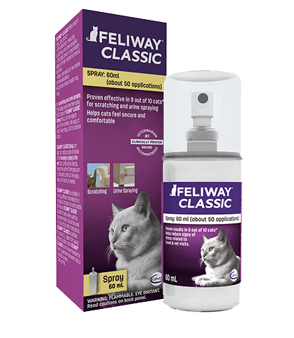 Spray Feliway Classic to deter scratching