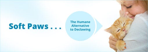 Use vinyl nail caps on cat's claws