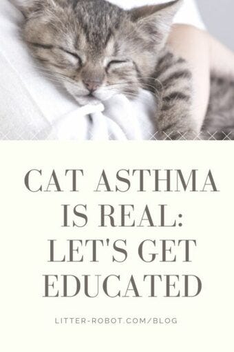 cat asthma