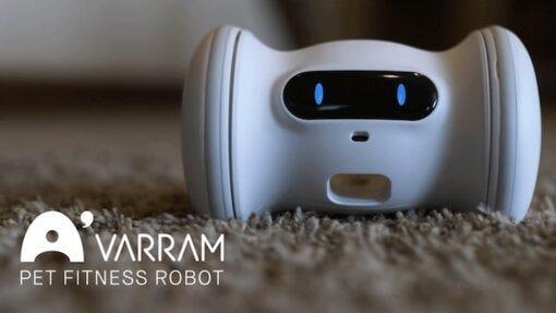 robot cat toy pet fitness