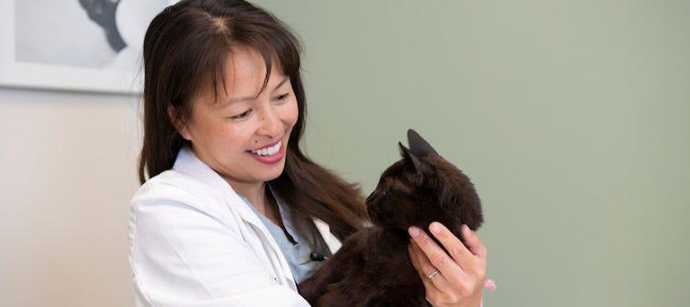 Hyperthyroidism in Cats Litter Robot