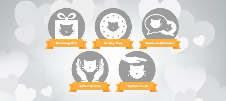 The Five Love Languages: Which Does Your Cat Speak?