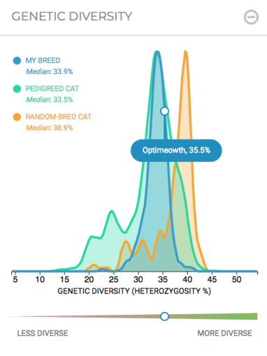 genetic diversity cat DNA test