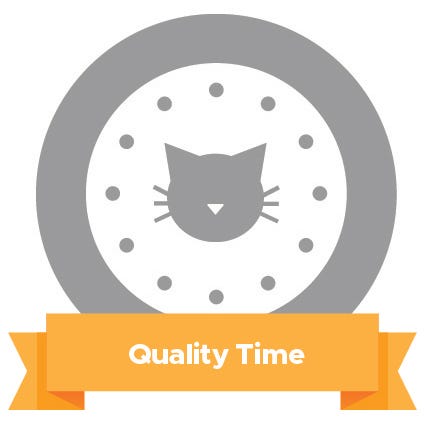 quality time cat love languages
