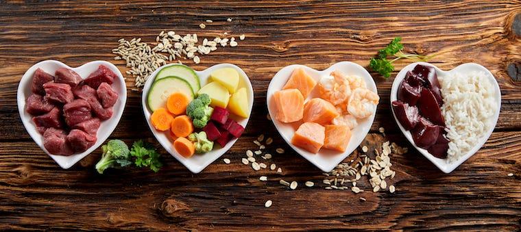 Are Any Fad Diets Safe for Your Cat?