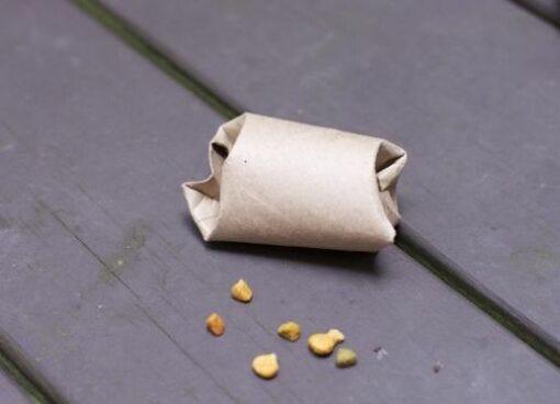 toilet paper roll DIY cat toys