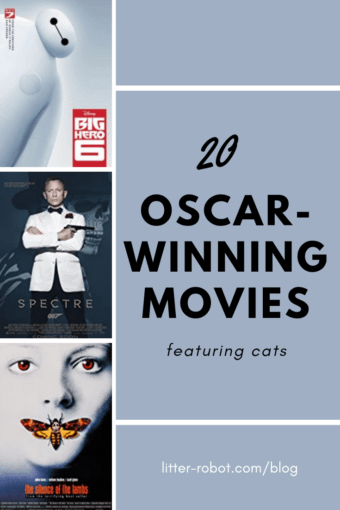 20 Oscar-Winning Movies Featuring Cats