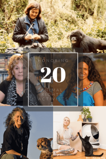 20 animals right activists on International Women's Day 20 animals right activists on International Women's Day