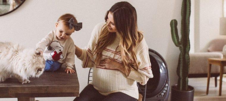 Can Cats Sense Pregnancy?