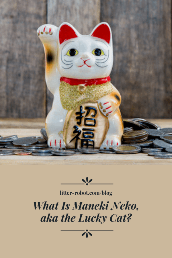 What is Maneki Neko, aka the lucky cat?