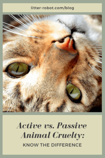 active vs. passive animal cruelty