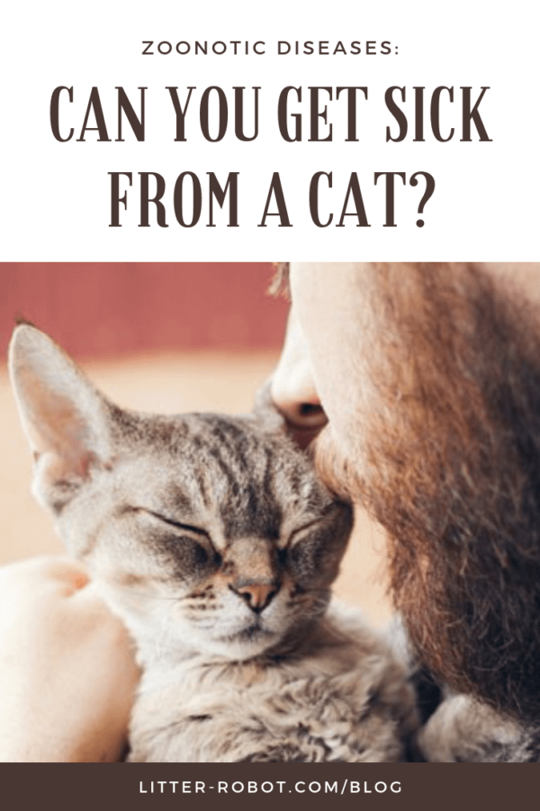 What Disease Can You Get from Cat Litter: Hidden Health Risks Revealed