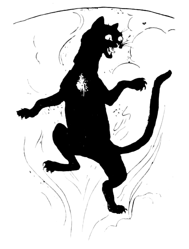 The Cat Sìth illustration - black cat with white spot on its chest standing on hind legs