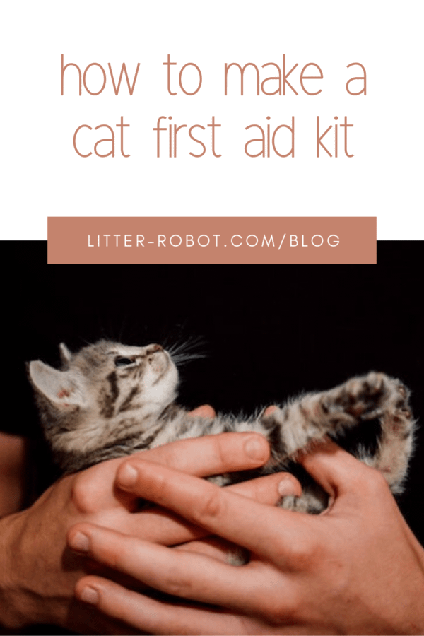 human hands holding a tabby kitten; how to make a cat first aid kit