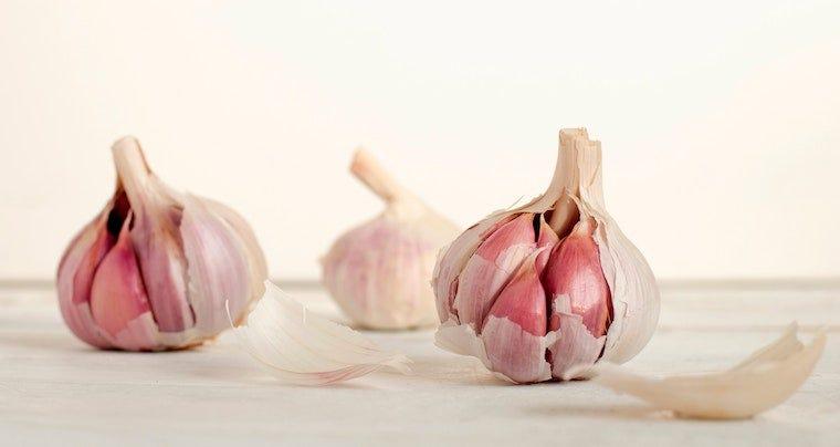 Is garlic bad for cats hotsell