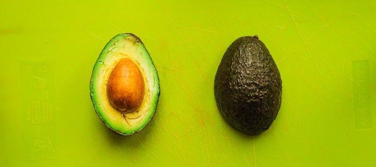 Is it ok for cats to eat avocado best sale