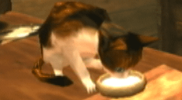 Link the cat - video game cat