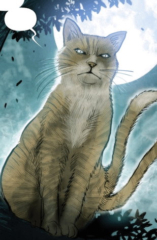 Master Ren - best comic book cats