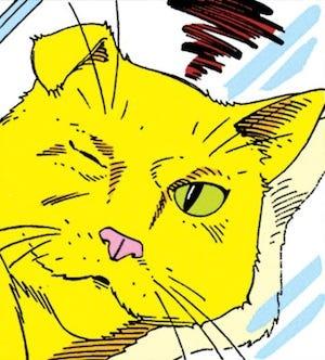 Stinky - best comic book cats