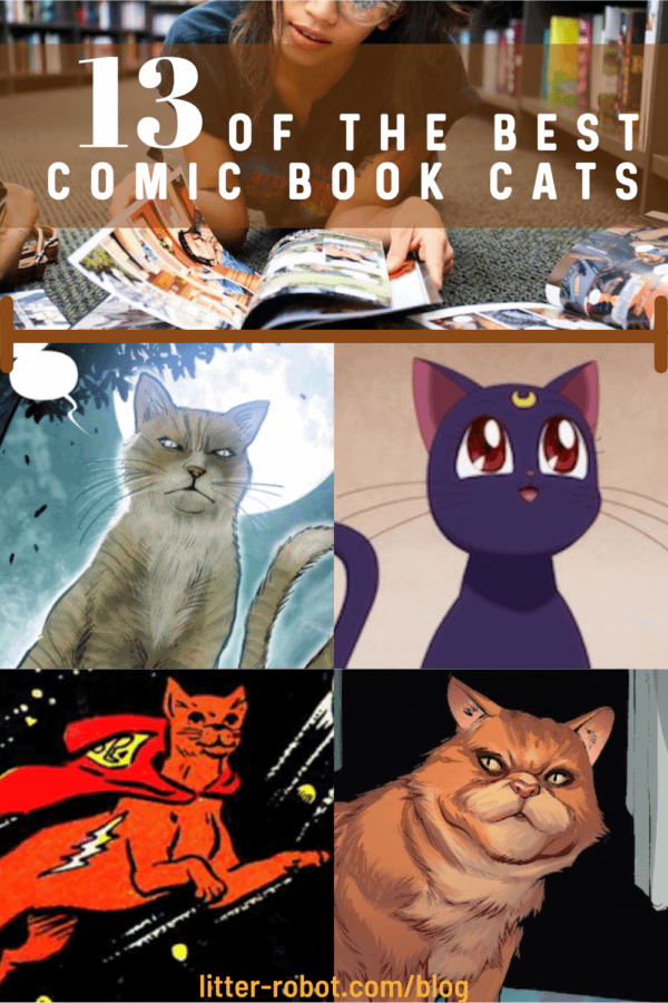 woman reading comic books - Master Ren, Luna, Streaky Cat, and Chewie best comic book cats