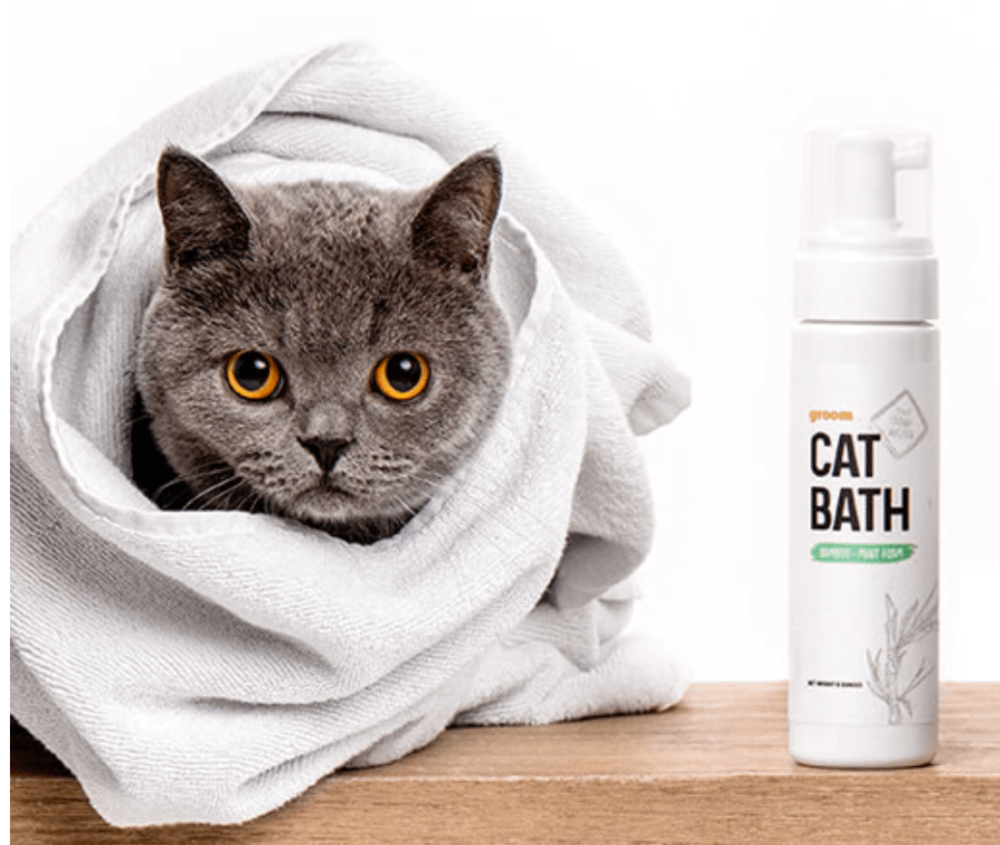 British Shorthair cat wrapped in white towel next to cat bath foam wash