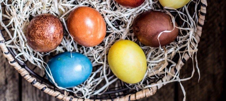 Got a Cat? Avoid Easter Basket Grass
