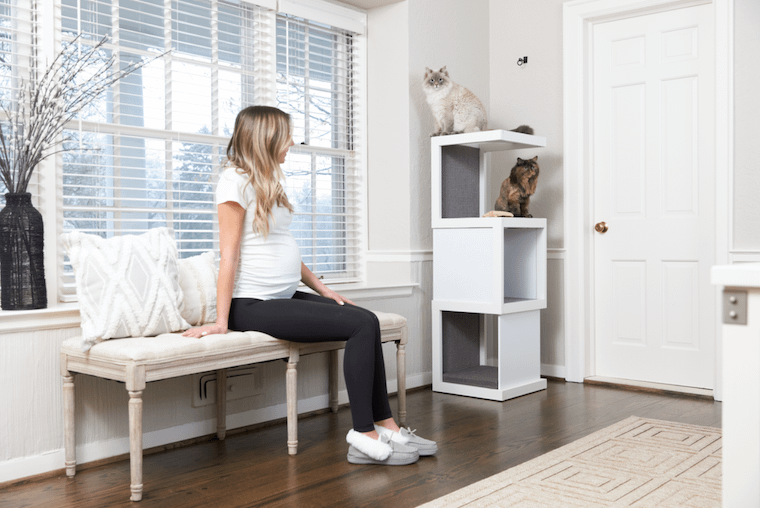 Two cats on a white cat tower next to a pregnant woman