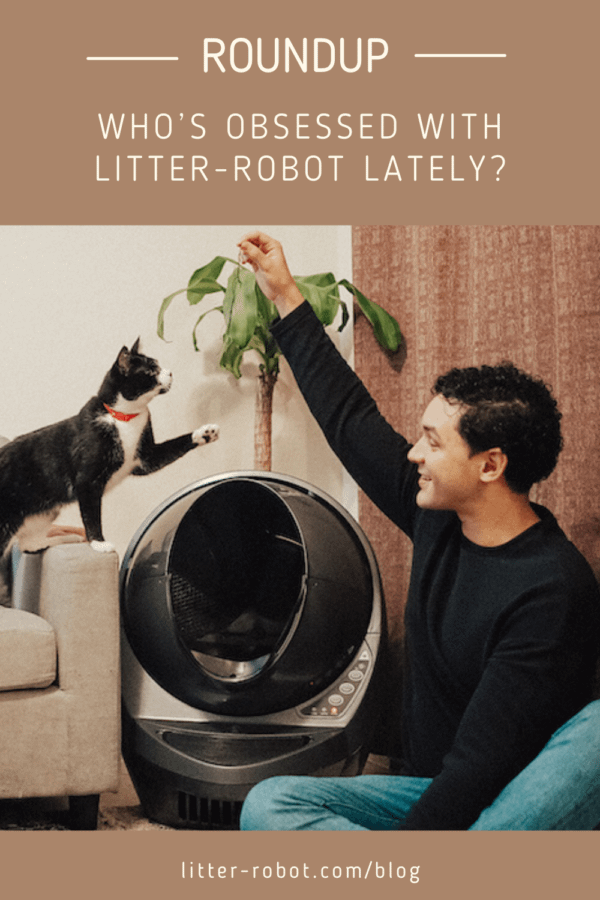 young man playing with a tuxedo cat next to a Litter-Robot 3 Connect self-cleaning litter box - roundup: who's obsessed with Litter-Robot lately?