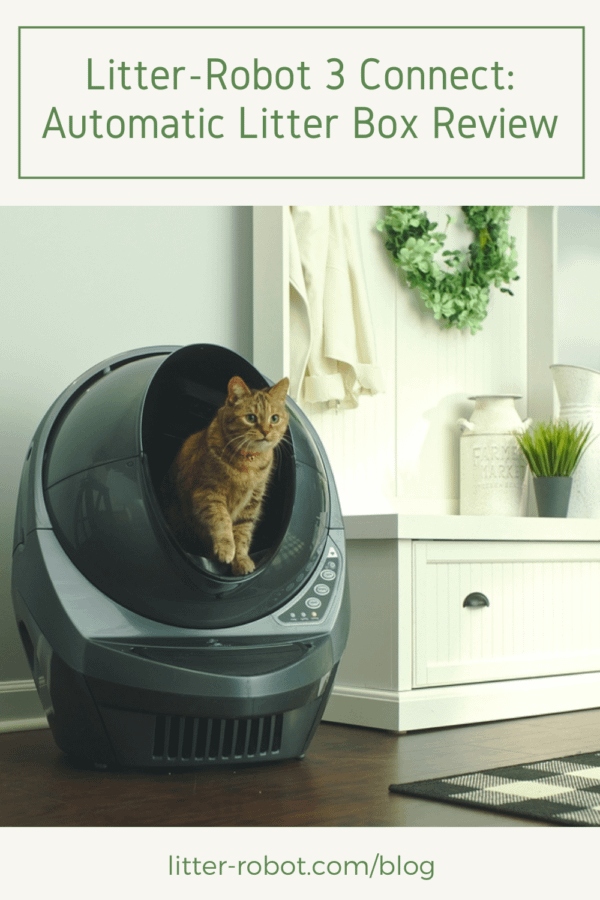 Litter robot blog best sale