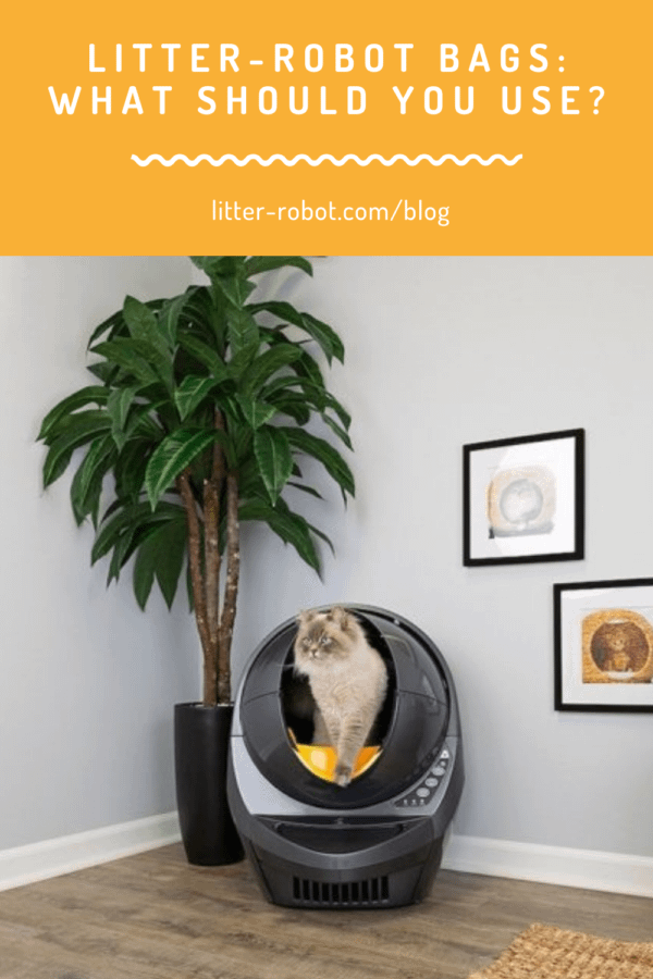 Litter Robot Bags What Should You Use