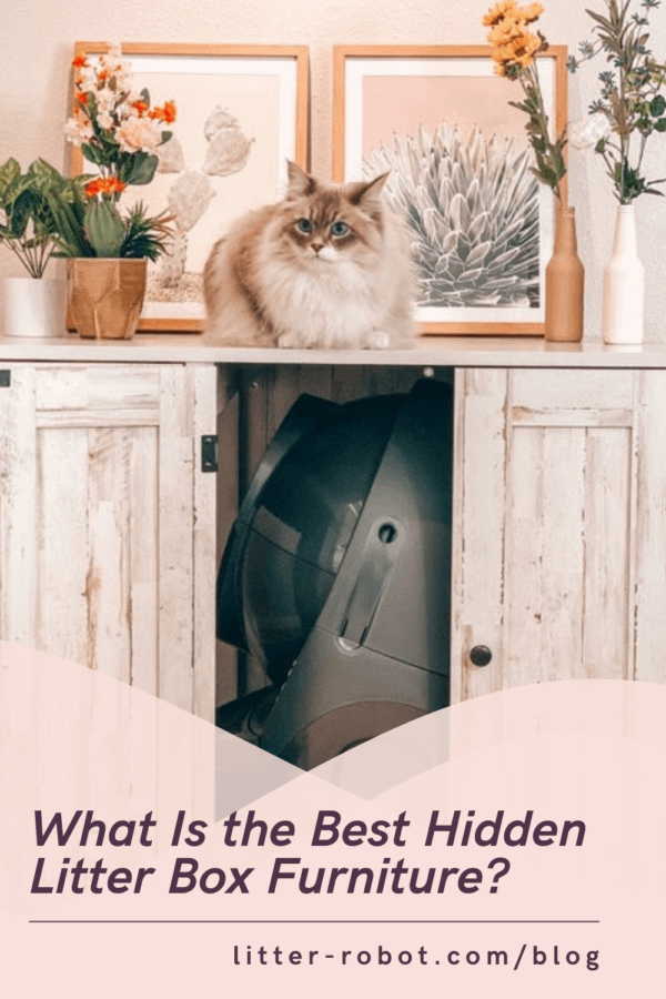 Hide litter robot best sale