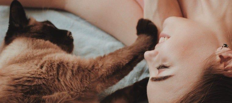 Can a Cat Be a Service Animal?