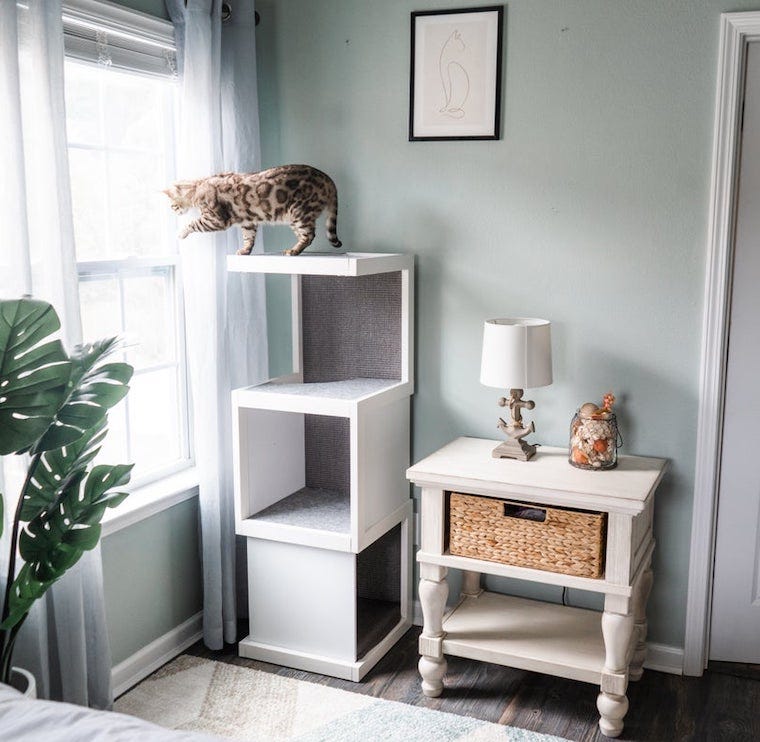bengal cat on top of cat tower looking outside through a window