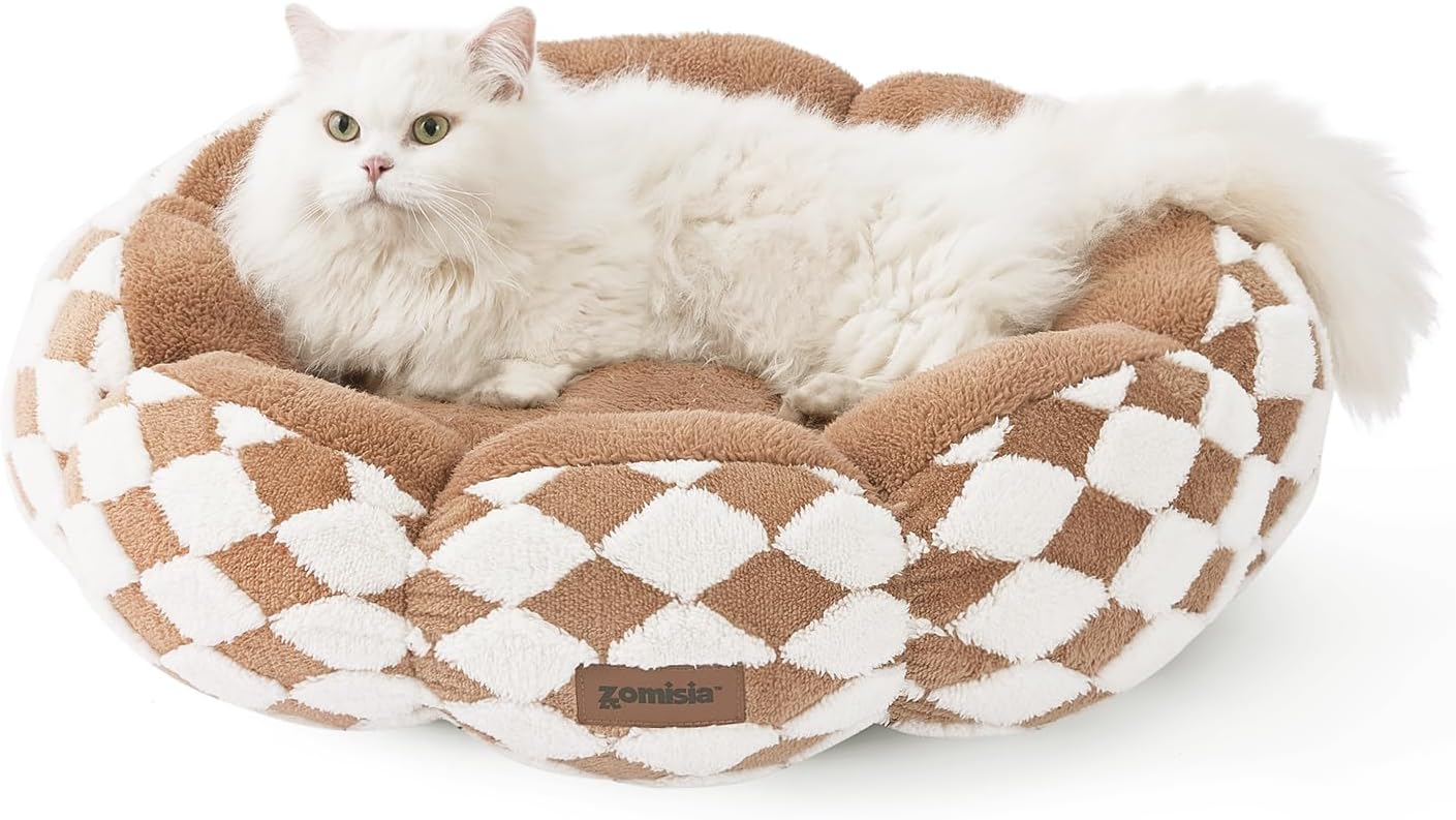 cute cat bed