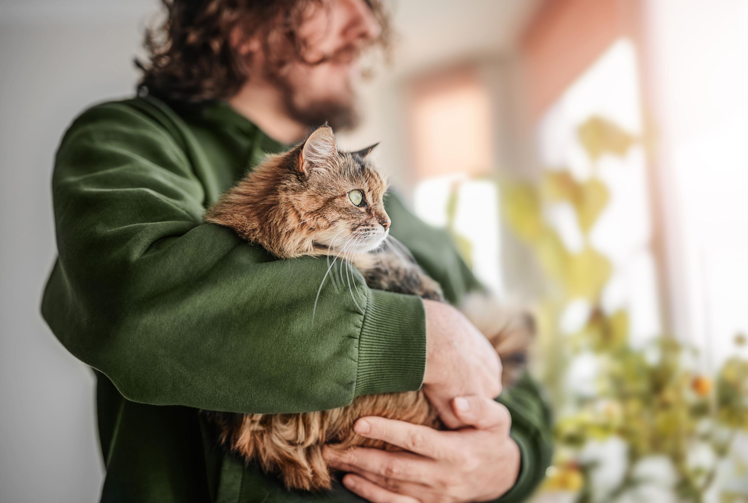 Man hugging a cat by the window with flowerpots.