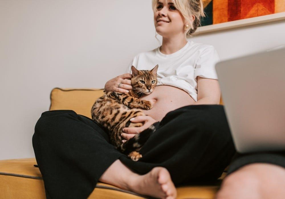 pregnant woman with cat