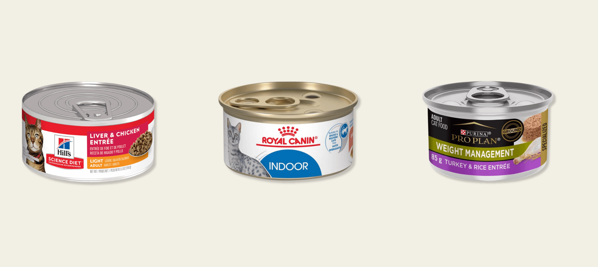 Best wet cat food for indoor cats