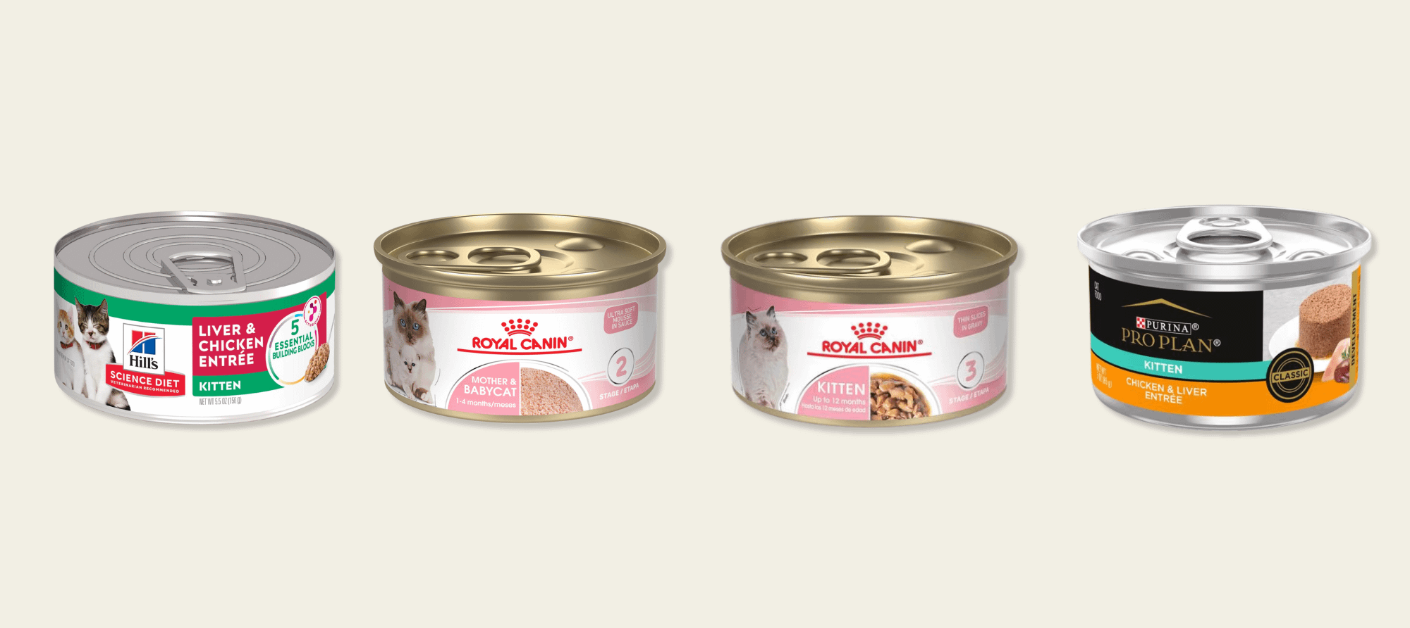 Best wet cat food for kittens