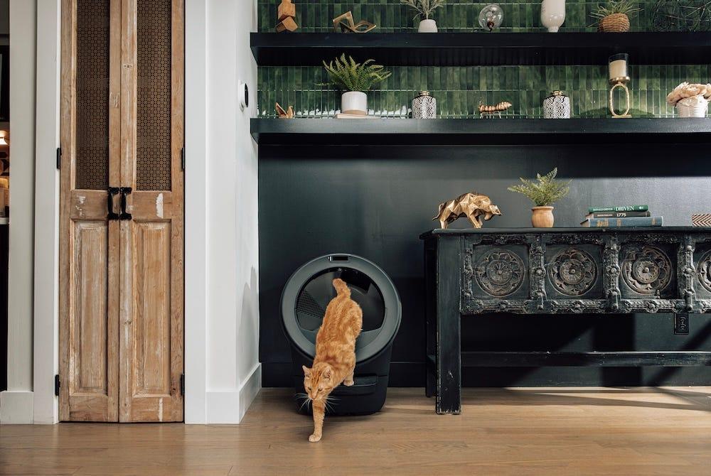 litter-robot 5 the best litter box for multiple cats