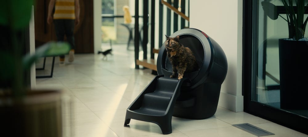 cat standing in Litter-Robot 4 about to exit