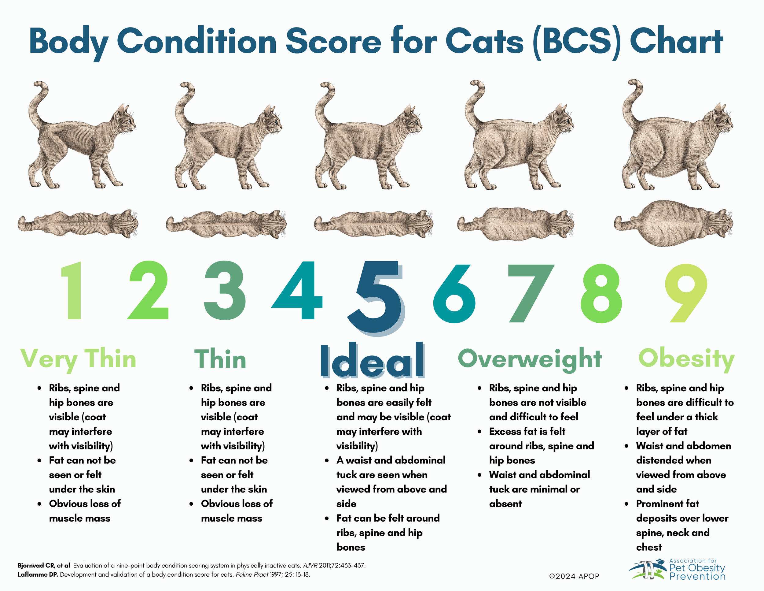 Body Condition Score for Cats (BCS) Chart