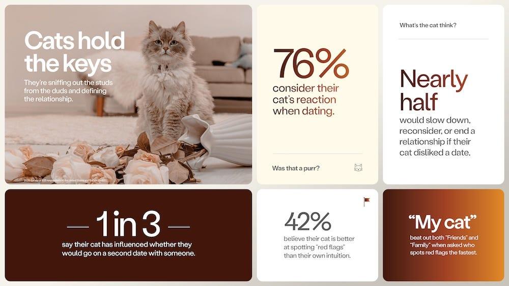 valentine's day study