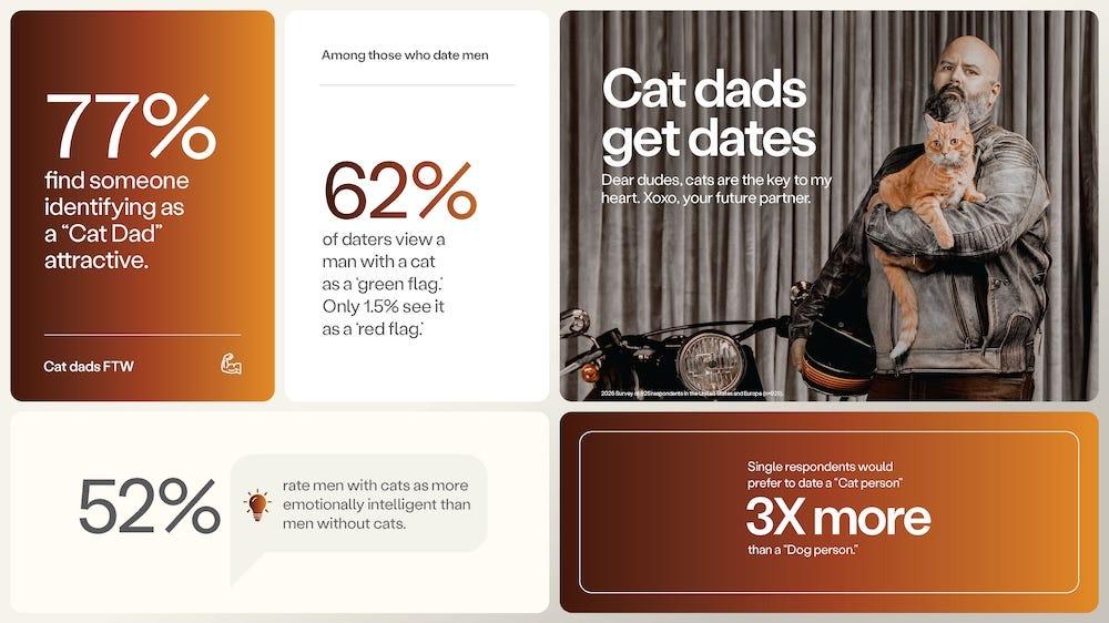 77% say identifying as a cat dad or cat mom is attractive