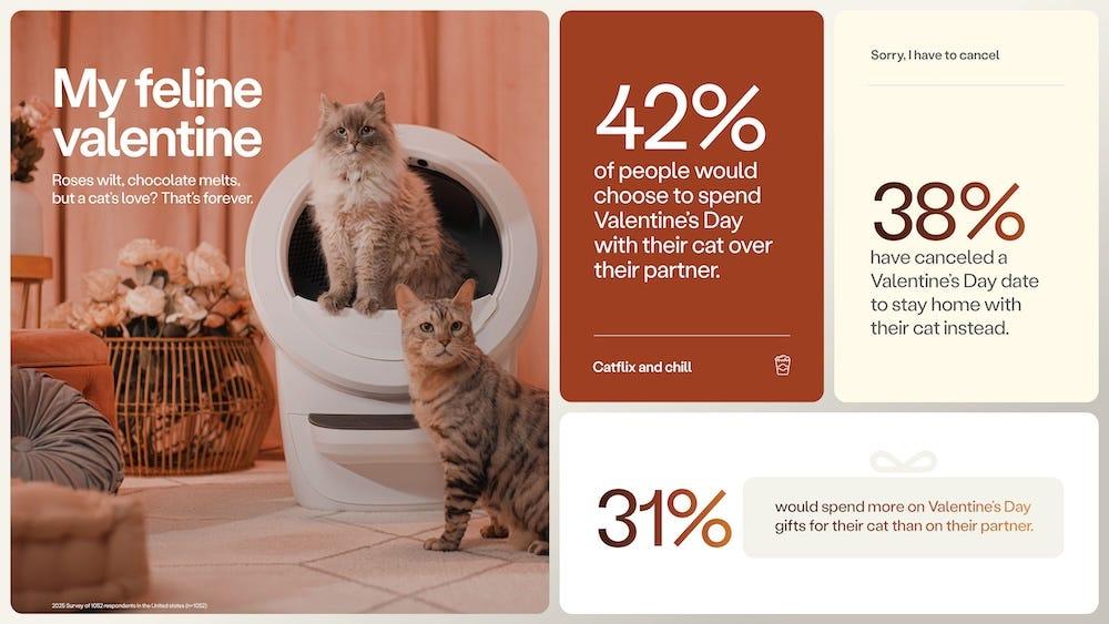 valentine's day study