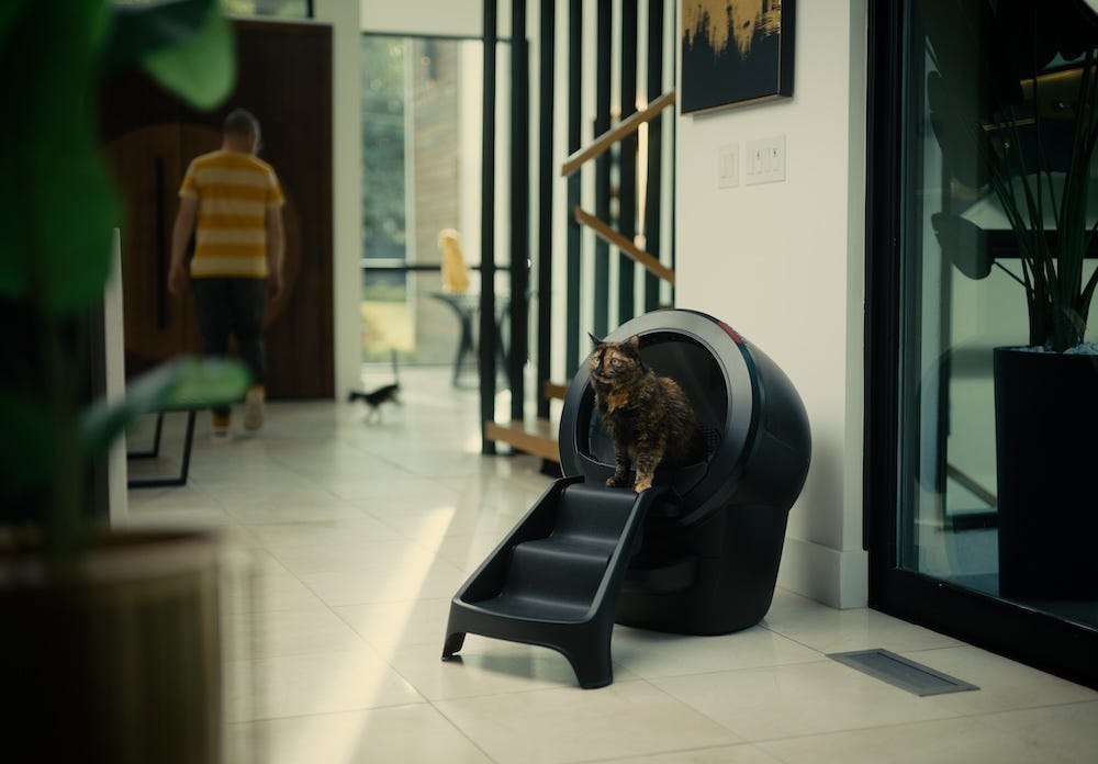 the best elevated litter box is Litter-Robot 4