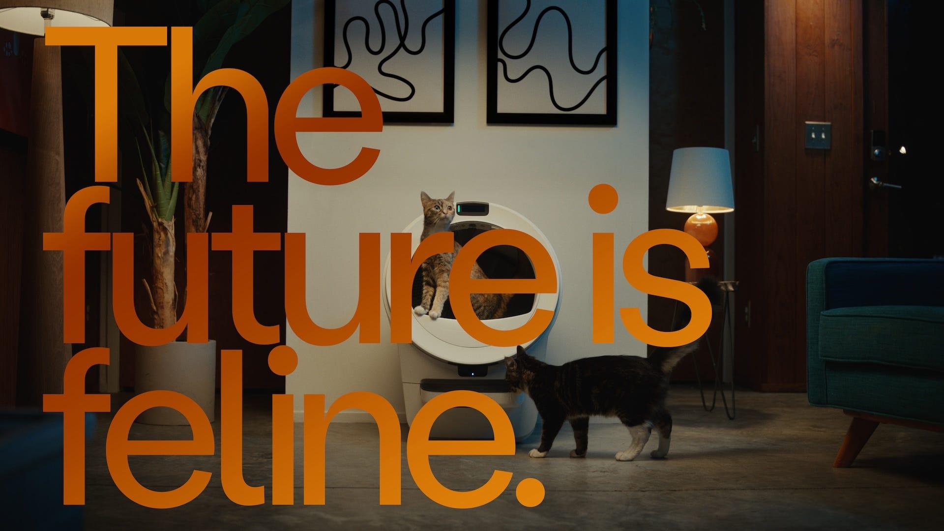man standing in rain with dog - the future is feline