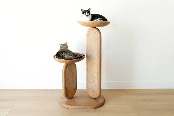 modern cat scratcher