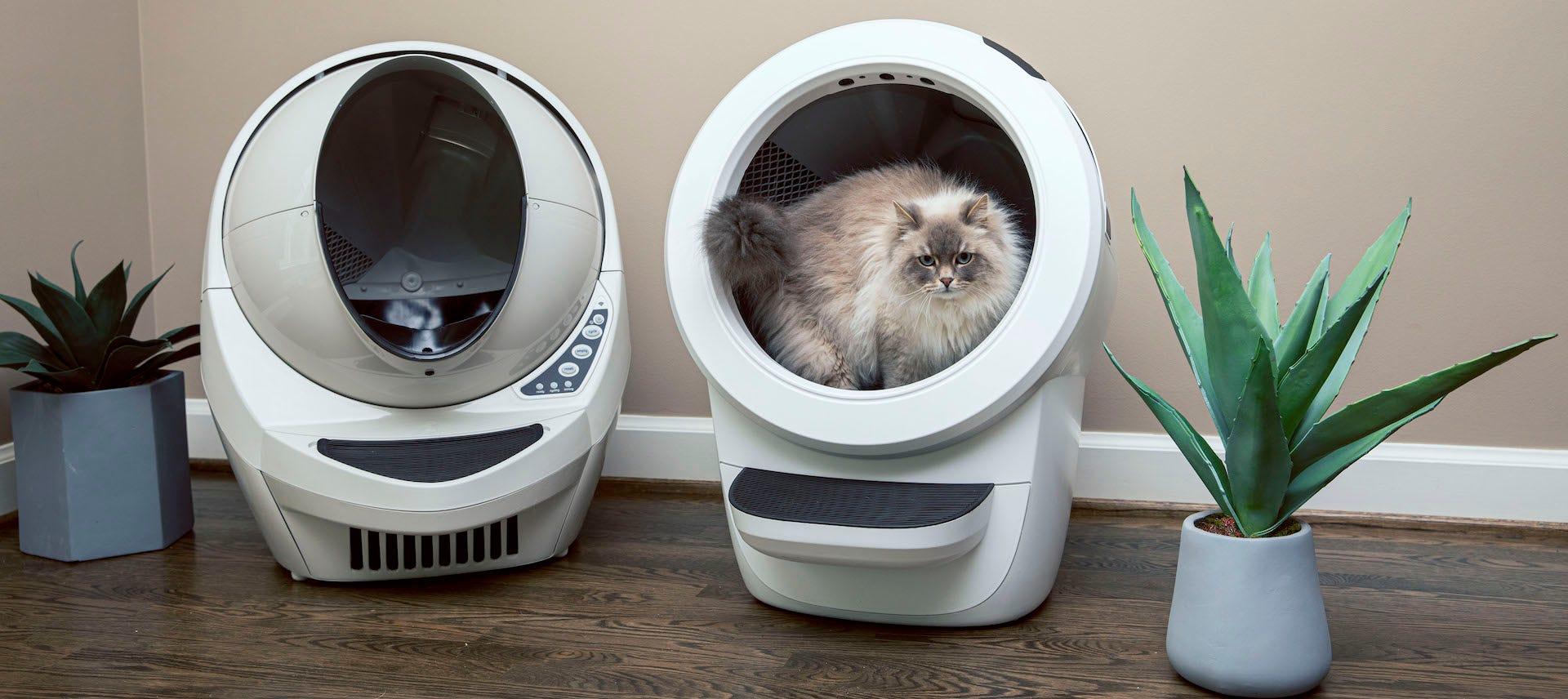 Litter Robot Bags What Should You Use