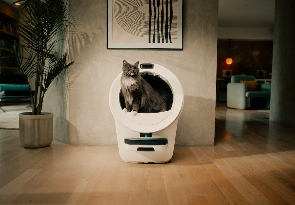 large orange tabby cat using self-cleaning litter box