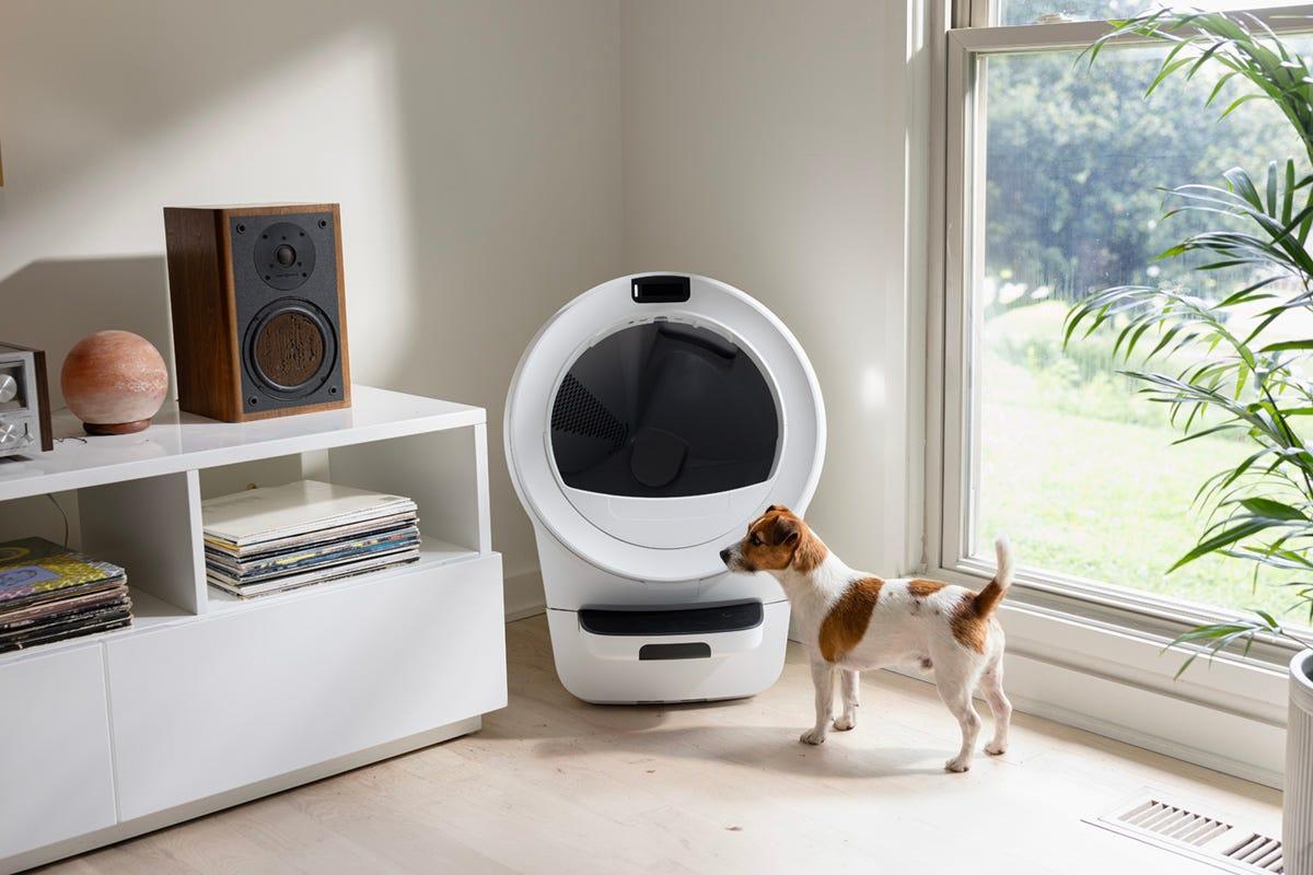 Litter-Robot with dog